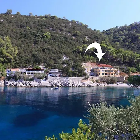 Robinson Bella * Bogomolje