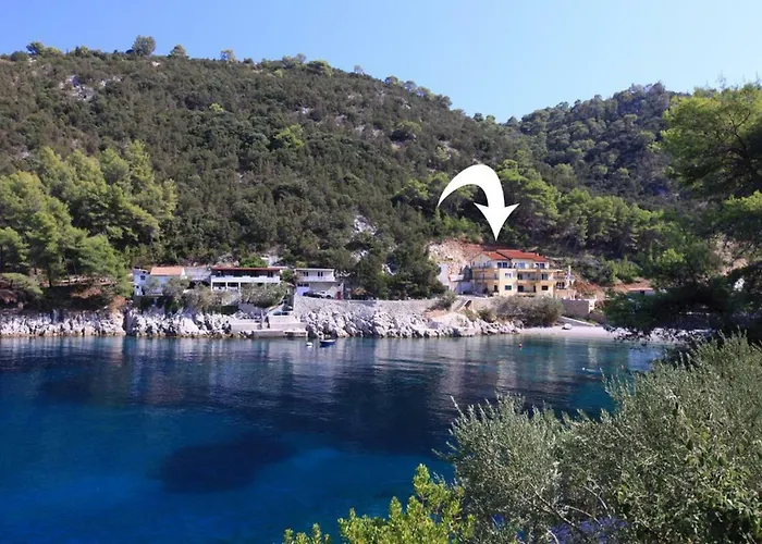 Robinson Bella * Bogomolje